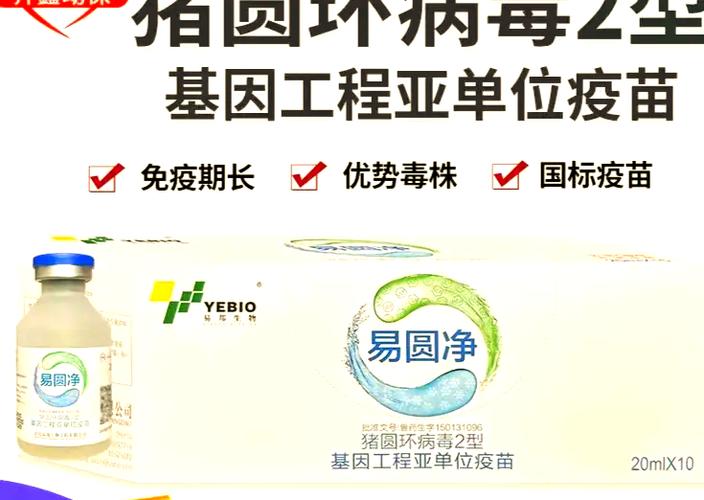 病毒培养步骤