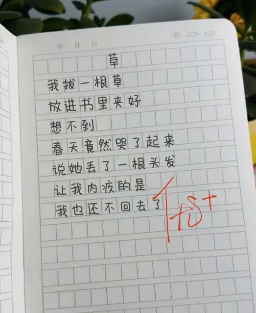 写诗歌自己编
