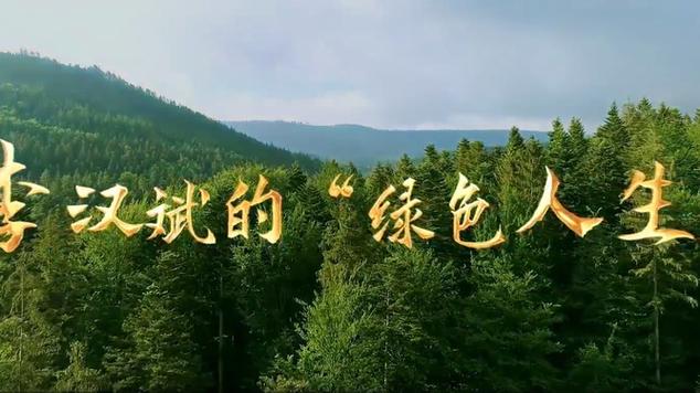 绿色的人生(第三部)小说