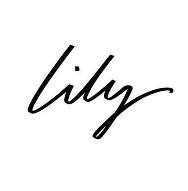 lily公司简介