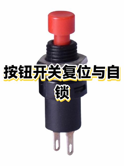 按钮开关自锁和自复位