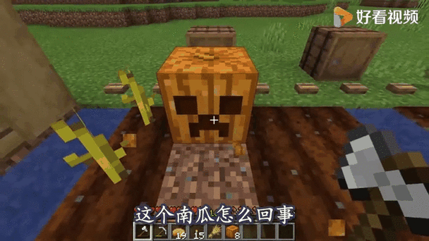 我的世界南瓜种不出来