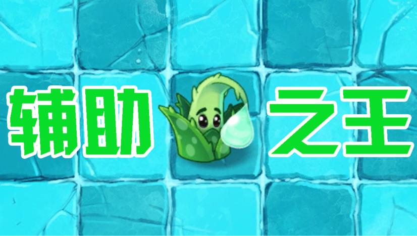 王者荣耀辅助之王