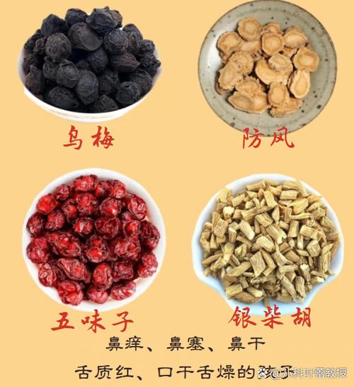 乌梅是青梅还是李子