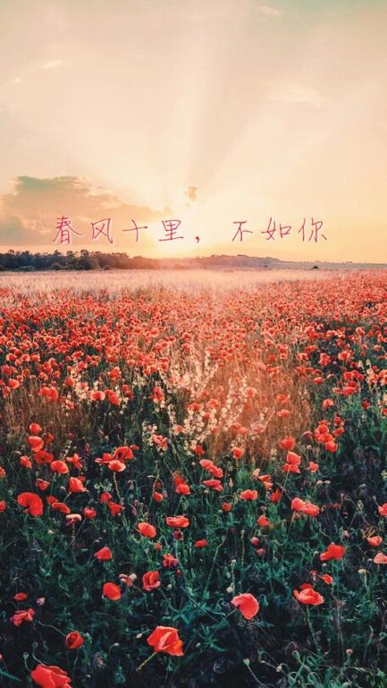 七律,春风十里