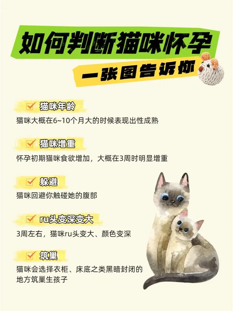 猫咪怎么怀孕生孩子 猫咪怎么怀孕生孩子