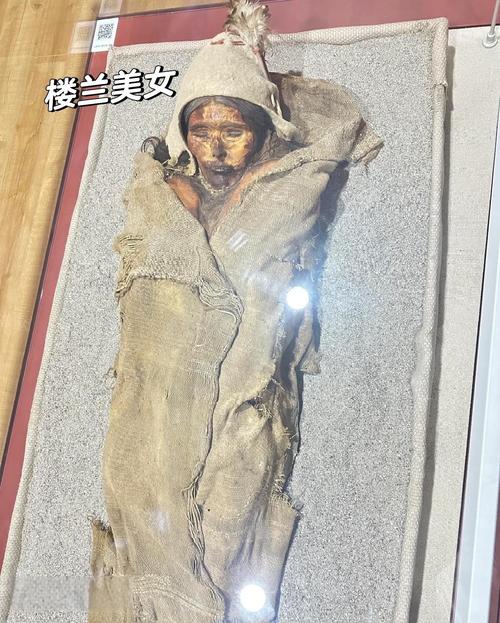 荒芜二楼的尸骨复原图