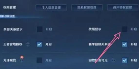 王者荣耀没有战绩显示怎么办