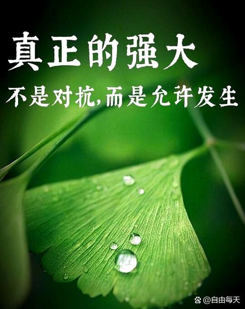引用别人的话