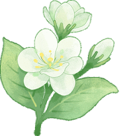 茉莉花Q版可爱
