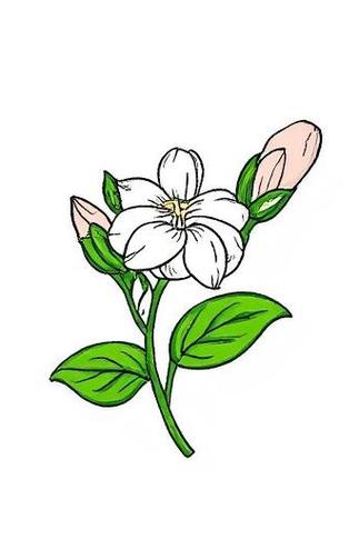 茉莉花Q版可爱截图2