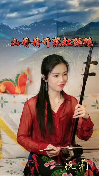 喜欢二胡的女人性格