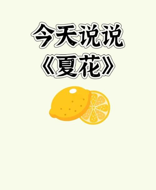 6999夏花现在还能用吗