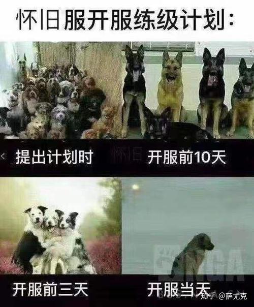 怀旧服mc重置时间截图3