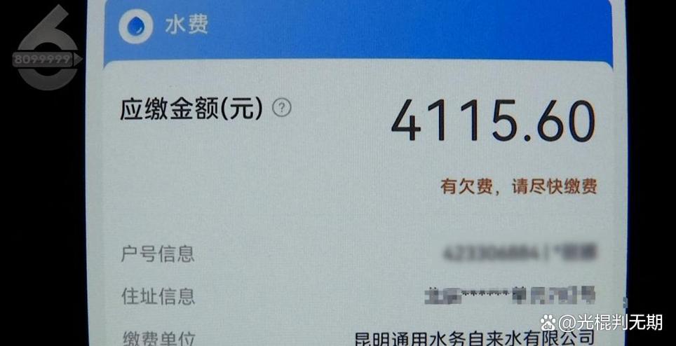 支付宝查不到水费欠费
