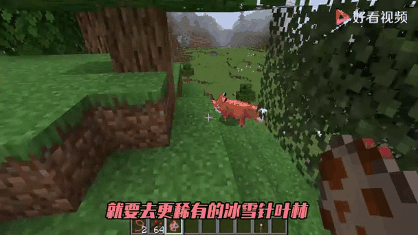 白狐移植1000款游戏大全