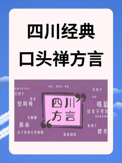 四川方言大全截图2