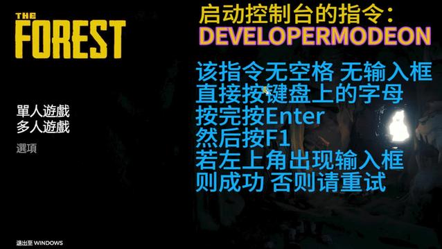 森林为什么打不开控制台