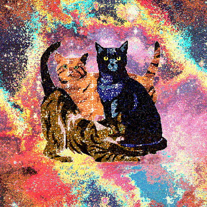 给猫加特效的相机