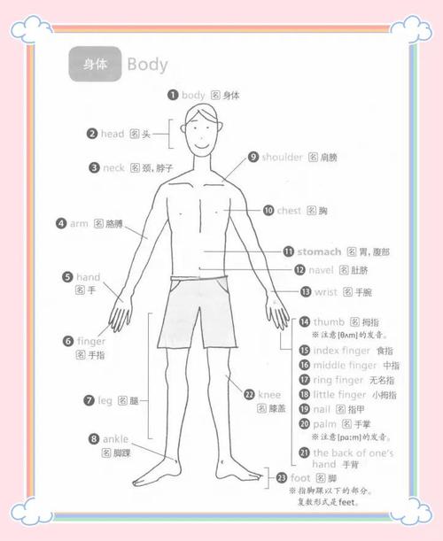 所有部位给你看