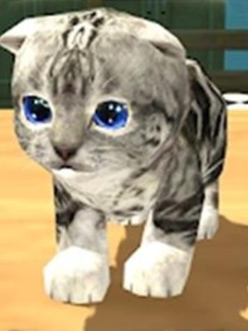 小猫模拟器3D截图1