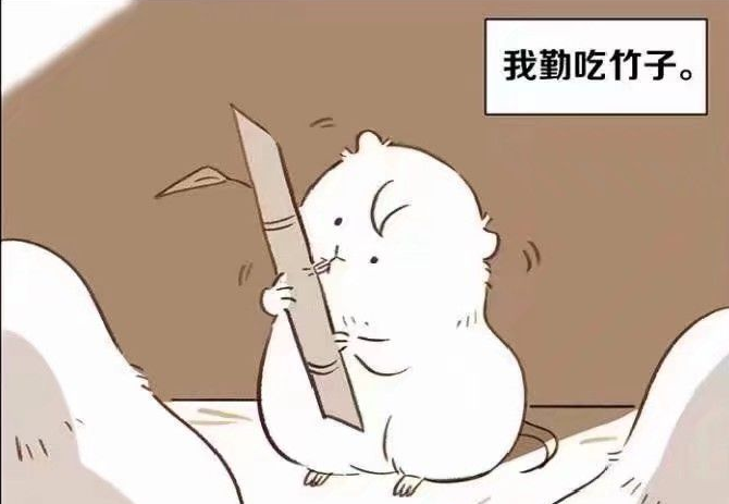 竹鼠漫画大全在线观看