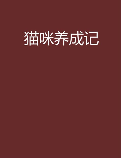6年猫一般人养不了