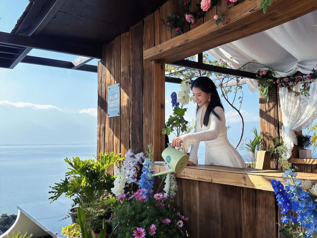 神豪旅行美女从大理开始