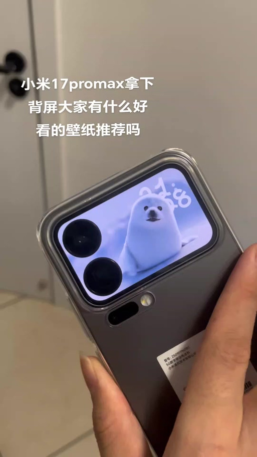 小米17pro壁纸截图2