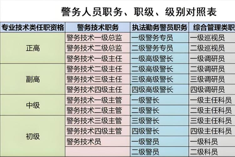 专务是什么职位