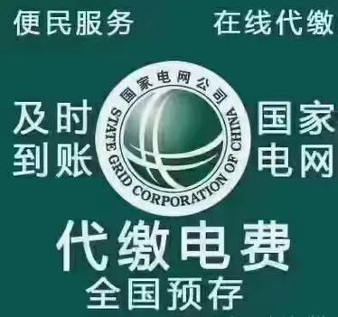 国家国网交电费