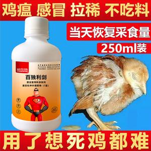小鸡生病了用什么药