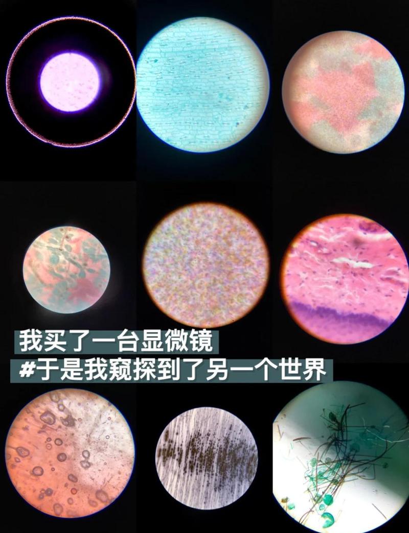 照相机如何放大或缩小