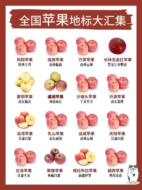 iphone哪里产地最好