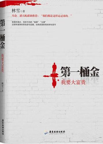 大富贵小说 大富贵小说