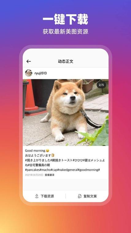 instagram下载正版官方免费
