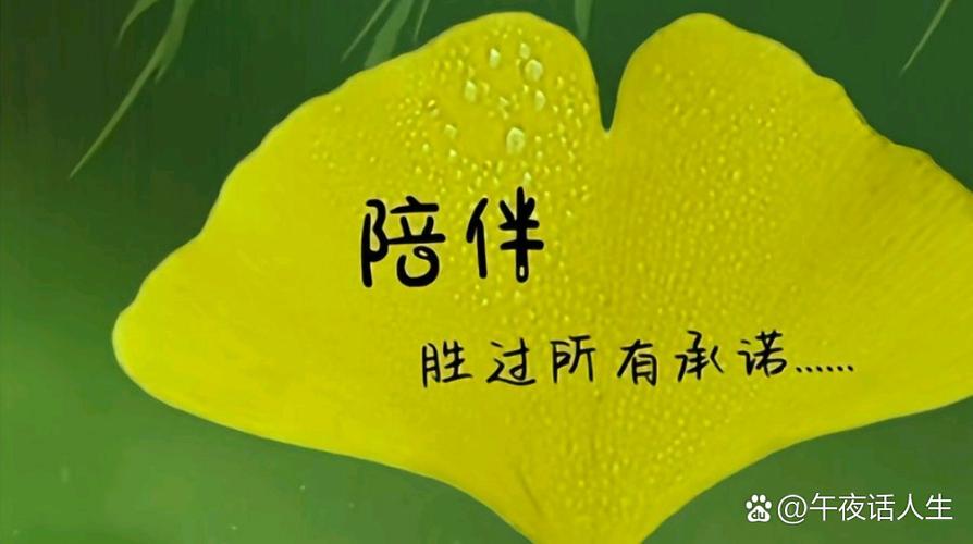 陪陪app更改什么名字了