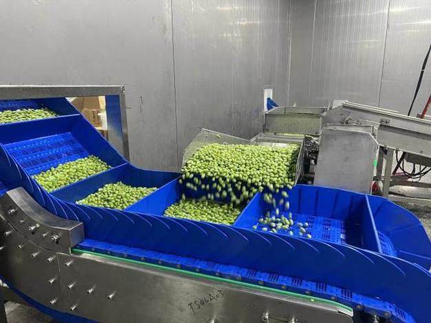 煮熟的毛豆可以冻起来吗