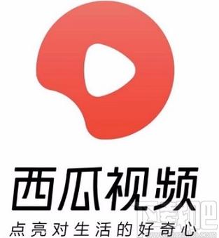 西瓜视频破解截图3