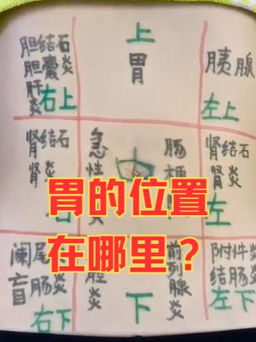 食道在左边还是右边