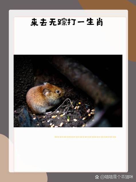 为什么淘宝评论不能删除