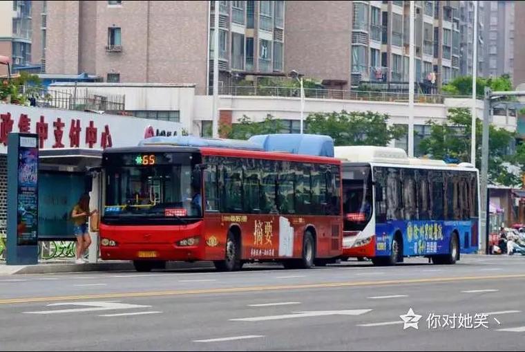 徐州公交官网截图3