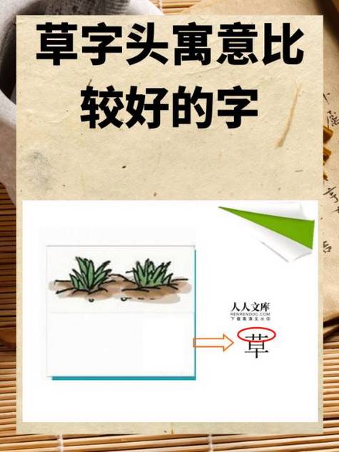 男孩草字头最吉利的字截图3