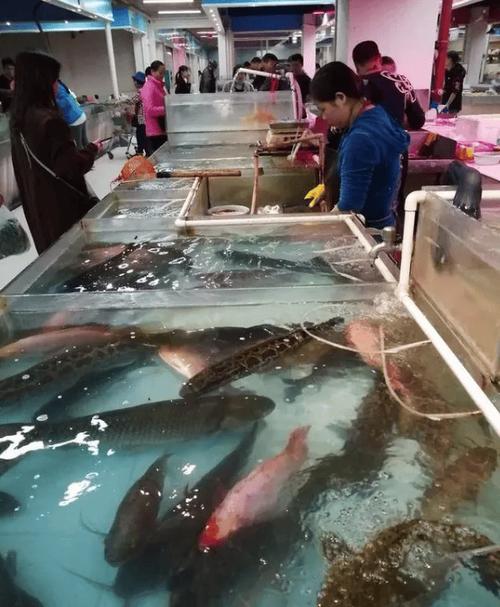 水产批发市场进货渠道