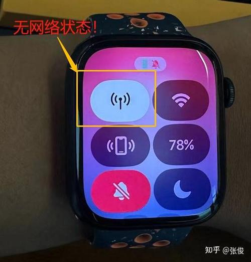 苹果手表无法连接蜂窝移动数据截图3