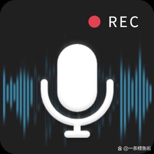 录音软件app哪个好用