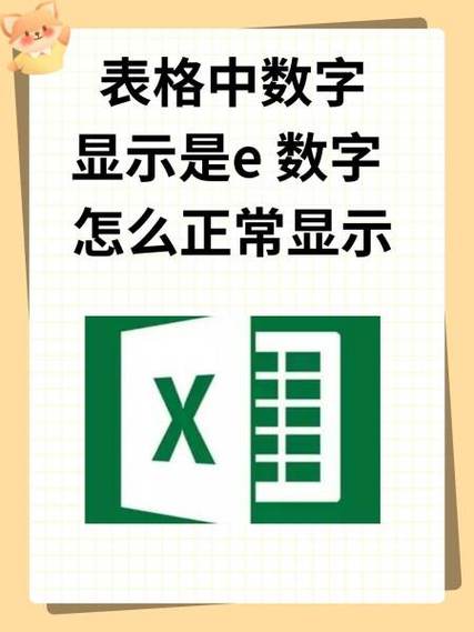 表格里数字显示e19