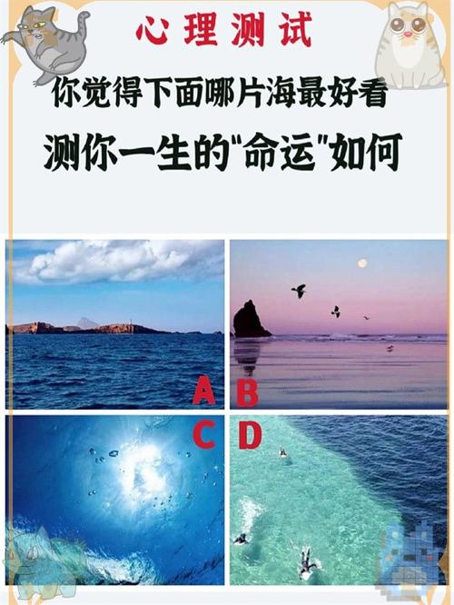 测试命运免费测试