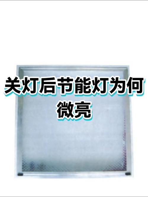 打开灯微亮是什么原因