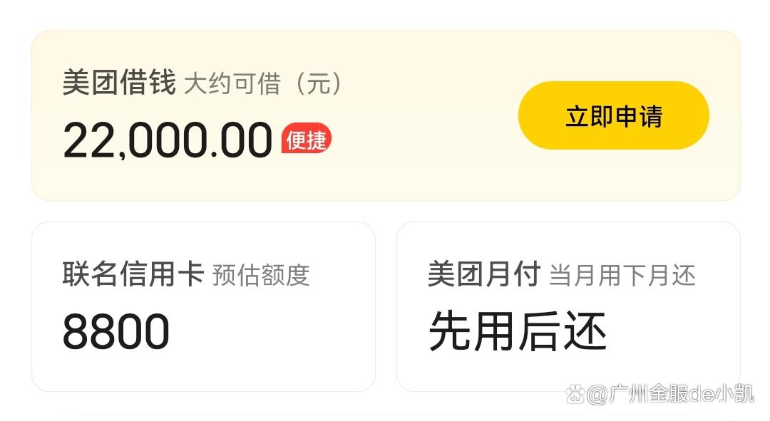 征信花美团借钱能过吗